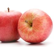幹細胞エキスが抽出できるリンゴ