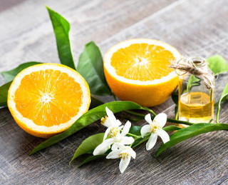 オレンジ果皮油などの精油に使用される植物や果実