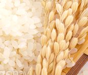 コメヌカ発酵液やコメヌカスフィンゴ糖脂質が抽出できるお米