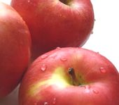 リンゴ幹細胞エキスが抽出できるリンゴ